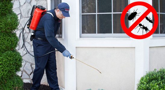 Bünyan Böcek İlaçlama böcek ilaçlama ve haşere kontrolü — ilaclama-tr.com
